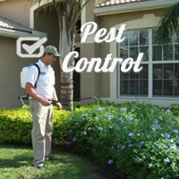 5 SIMPLE STEPS TO PREVENT PESTS
